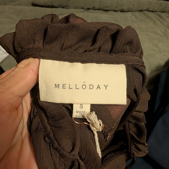 Sheer Black Ruffle Blouse - Picture 3 of 9